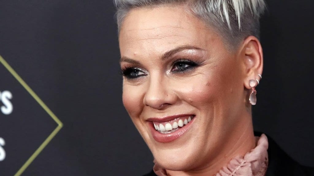 P!nk: ‘Gek om aan deze nieuwe realiteit te wennen‘