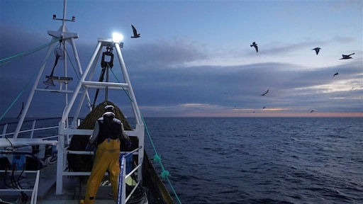 Brexit-onderhandelingen opnieuw op scherp: mislukking handelsdeal dreigt