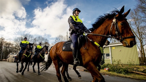 Politiepaard trapt fietser in gezicht in Den Haag