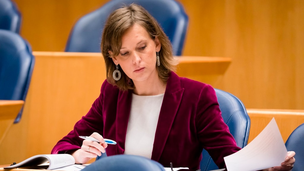 Stieneke van der Graaf