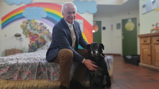 'Laat dierenbeul taakstraf uitvoeren in dierenasiel'