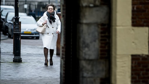 Belastingdienst behandelt toeslagenaffaire vanaf nu als crisis