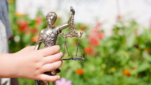 Kinderen willen meebeslissen bij een scheiding: 'Ze kunnen met 8 jaar al voor rechter'