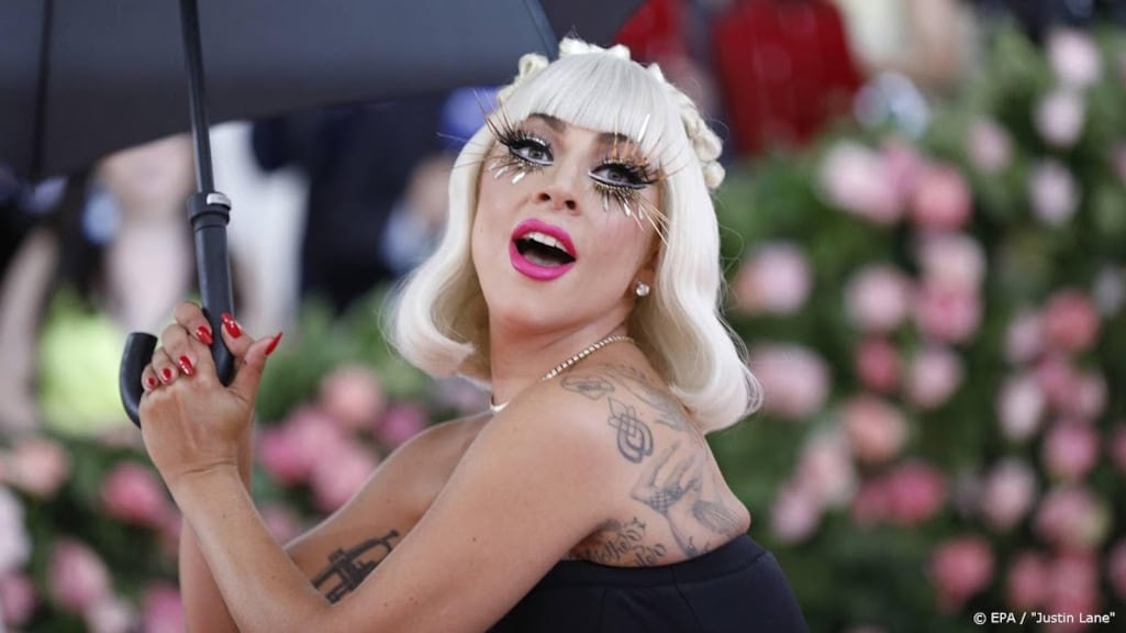Grote eer voor Lady Gaga: insect vernoemd naar zangeres
