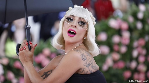 Grote eer voor Lady Gaga: insect vernoemd naar zangeres