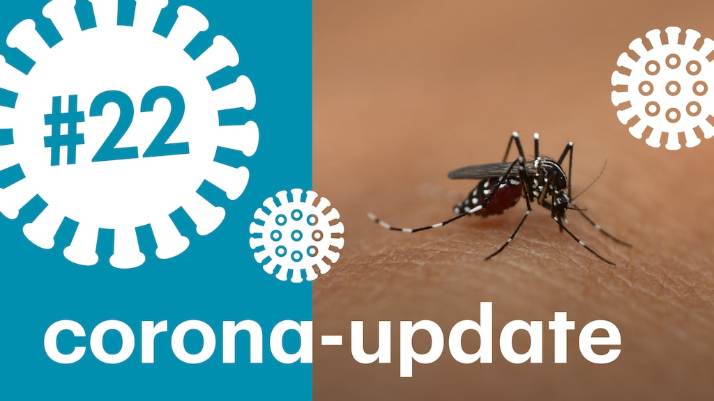 Kunnen muggen het coronavirus verspreiden?