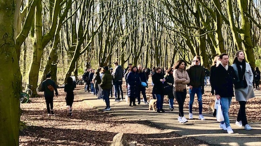 Experts: wees voorzichtig met versoepelen coronamaatregelen