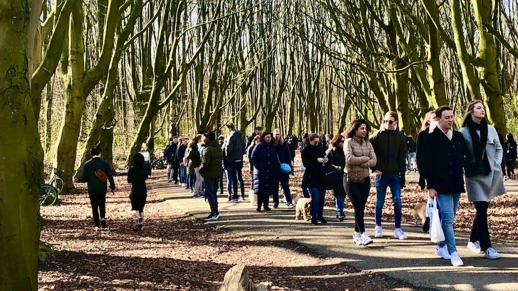 Experts: wees voorzichtig met versoepelen coronamaatregelen