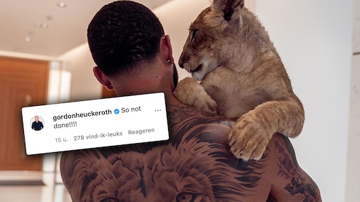 Zanger Gordon en schaatser Nuis uiten kritiek op Memphis: 'Heel jammer dit'