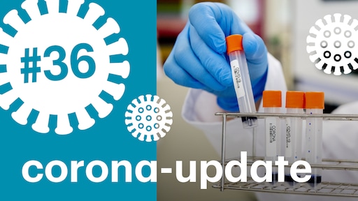 Waarom telt Nederland relatief veel doden door het coronavirus?