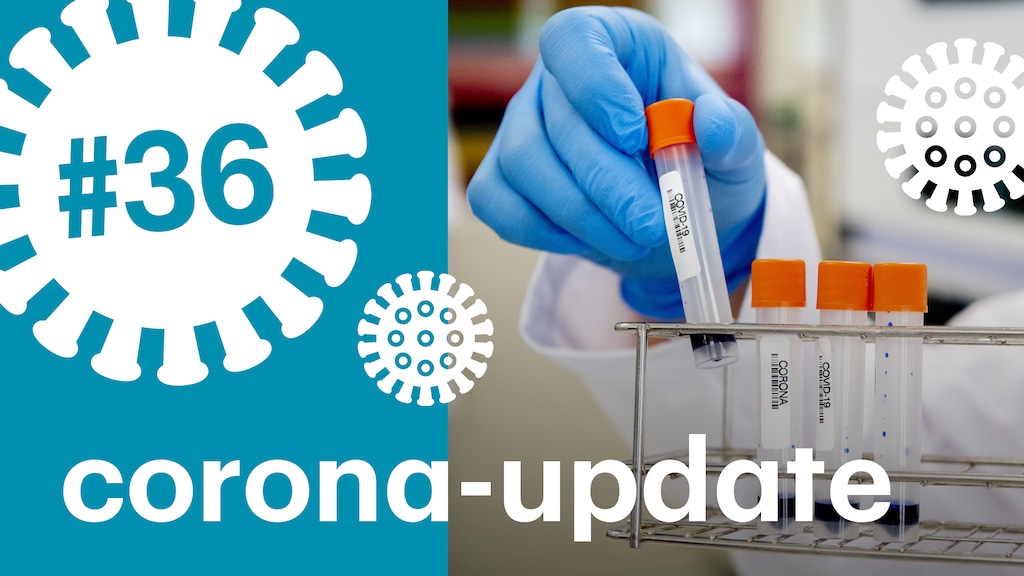 Waarom telt Nederland relatief veel doden door het coronavirus?