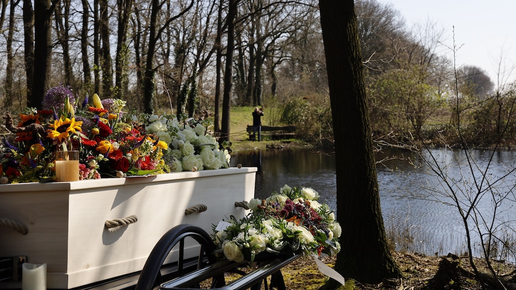 De kist op het perceel van de koeienboer.