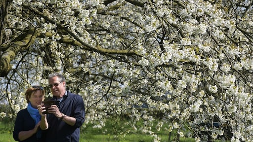 Pensioenfondsen lijden flink door de coronacrisis. Wat ga jij daarvan merken?