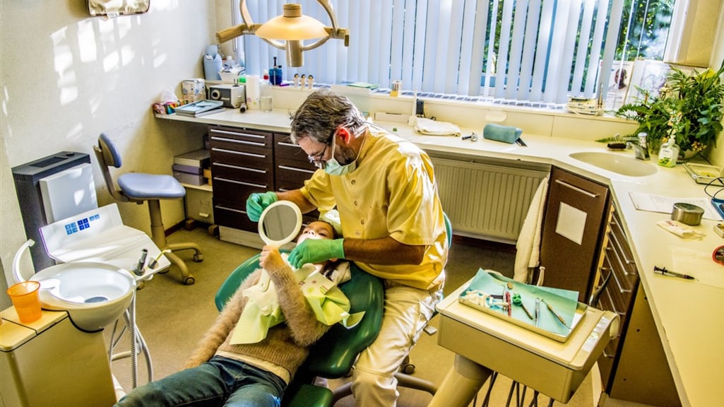 Kabinet breidt noodondersteuning voor ondernemers uit