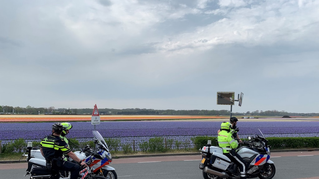 Weer veel te druk in Bollenstreek, burgemeesters zijn teleurgesteld