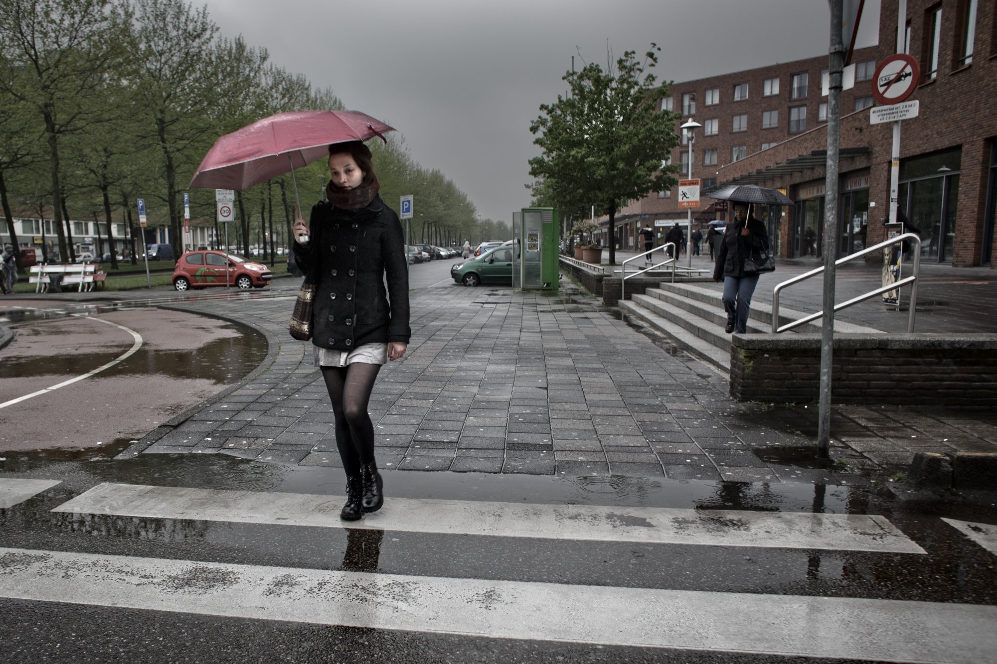 Hier komt die typerende geur van regen vandaan