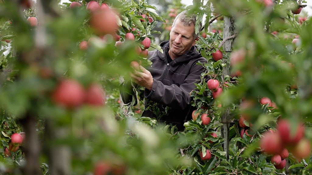 Tekort aan arbeidsmigranten door coronavirus en hogere minimumlonen buitenland