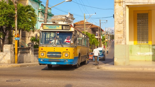 Sinds het heftige ongeluk in Cuba, reist Mandy (29) niet meer met de bus