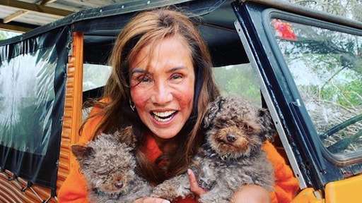 Tout bekend Nederland viert Koningsdag vanuit huis