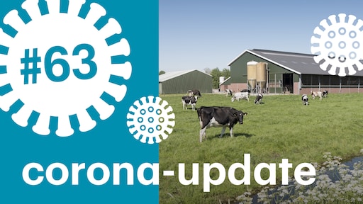 Wat is de relatie tussen luchtvervuiling en corona?