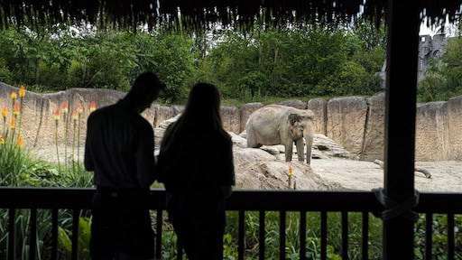 Attractieparken en dierentuinen weer open: wat kan wel en niet?