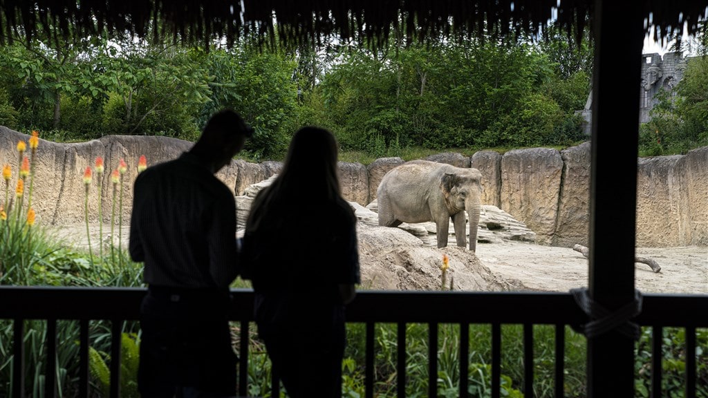 Attractieparken en dierentuinen weer open: wat kan wel en niet?