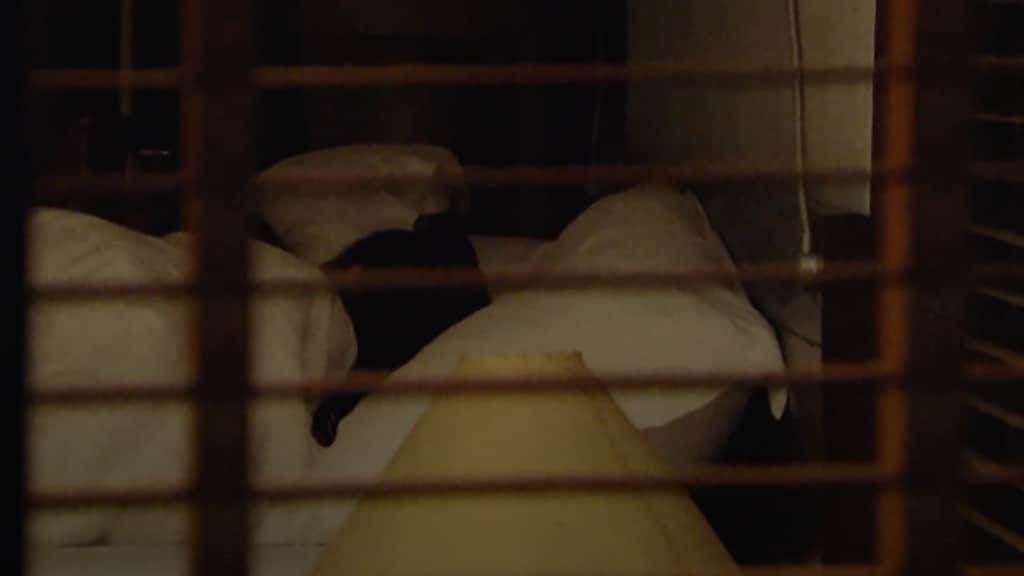 Verleiding Temptation is te groot: er gaat wéér iemand vreemd