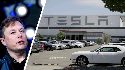 Musk opent Tesla-fabriek, ondanks regels: 'Dan arresteren ze me maar'