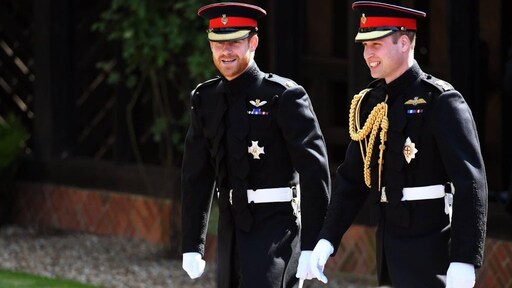 'William en Harry zetten hun geschillen aan de kant'