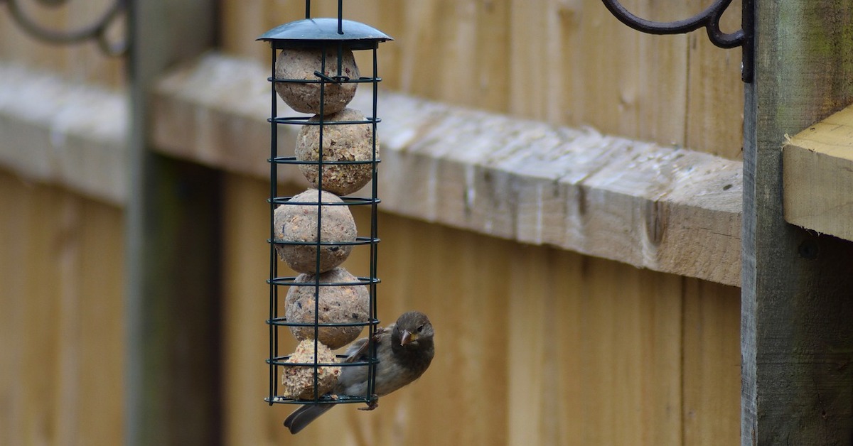 DIY: 5x zo maak je zelf de leukste vetbollen en vogelvoerhouders