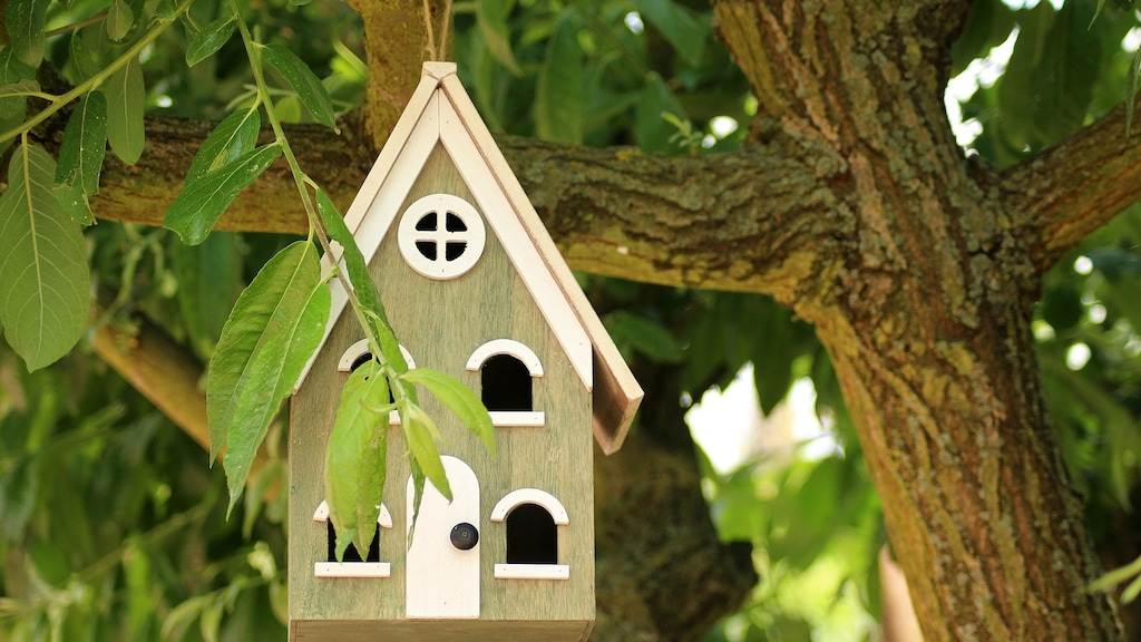 Hier moet je op letten als je een vogelhuisje ophangt
