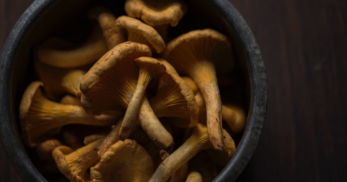 Hier moet je op letten als je paddenstoelen plukt of er per ongeluk mee in aanraking komt