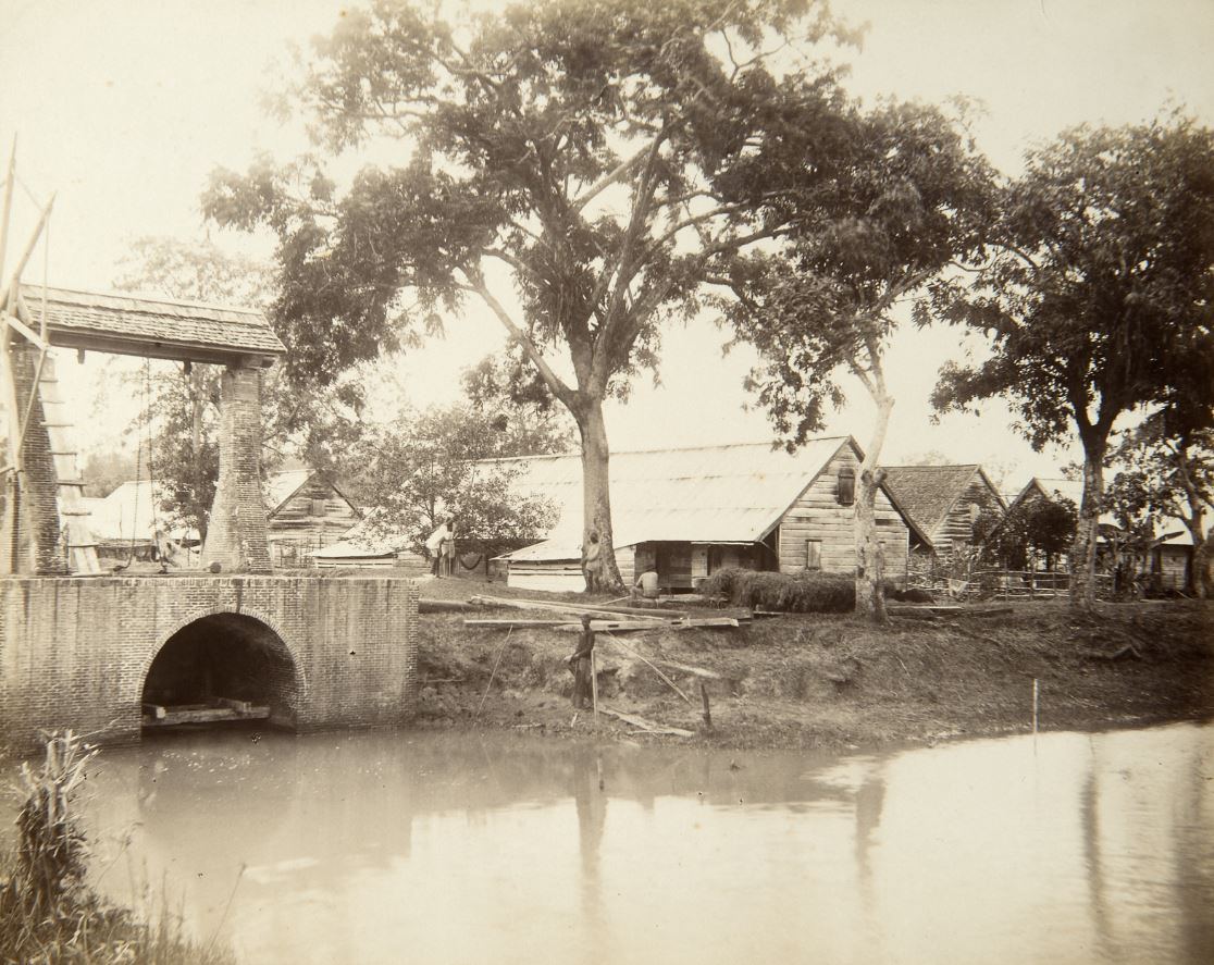 Beeld van plantage Alliance tussen 1890 en 1910.