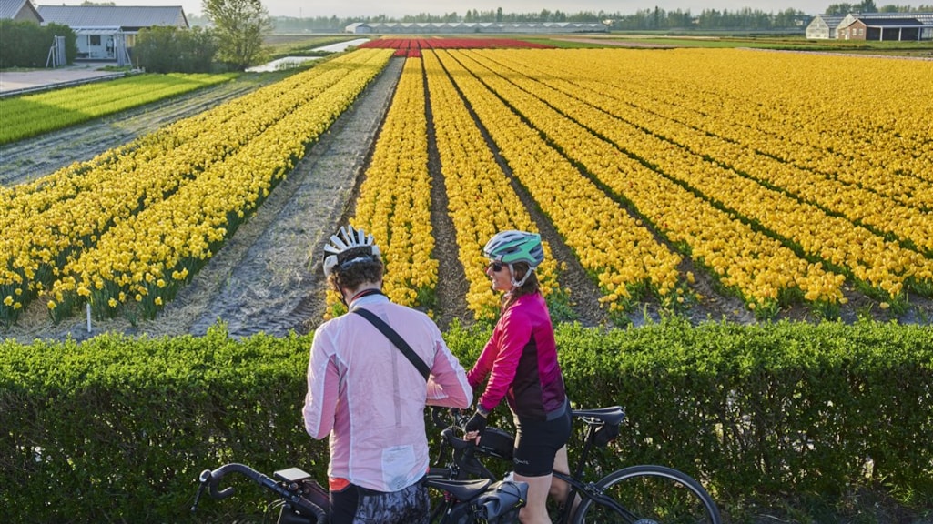 Zorgen om gif in bollenvelden: 'Durf niets uit de moestuin te eten'