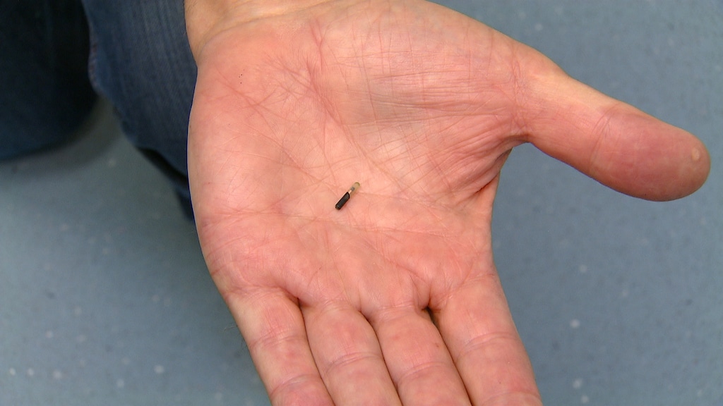 De chip die wordt ingebracht in de nek van de kat.