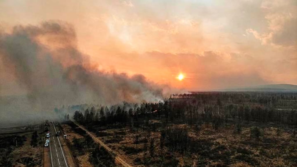 Wordt het een zomer vol bosbranden? 'Je kan niet tegen het vuur op'