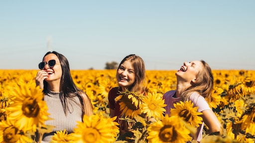 Wat is geluk en hoe vind je het? 'Geld maakt gelukkig, mits je het goed uitgeeft'