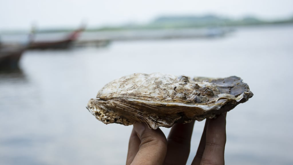 Wildplukken of rapen: zo voorkom je een fikse boete