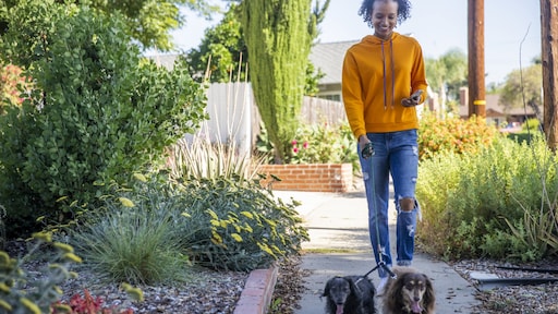 Thuiswerken: tussendoor de hond uitlaten maakt ons creatiever en productiever