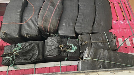 Corona of niet, cocaïnevangst was nog nooit zo groot