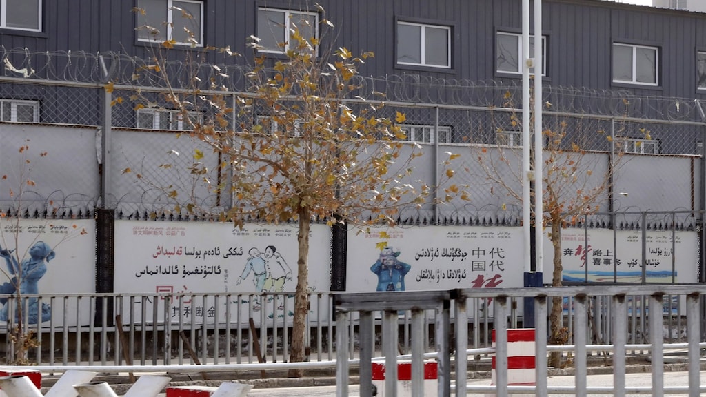 Modemerken onder druk: '1 op 5 kledingstukken van Oeigoerse dwangarbeid'