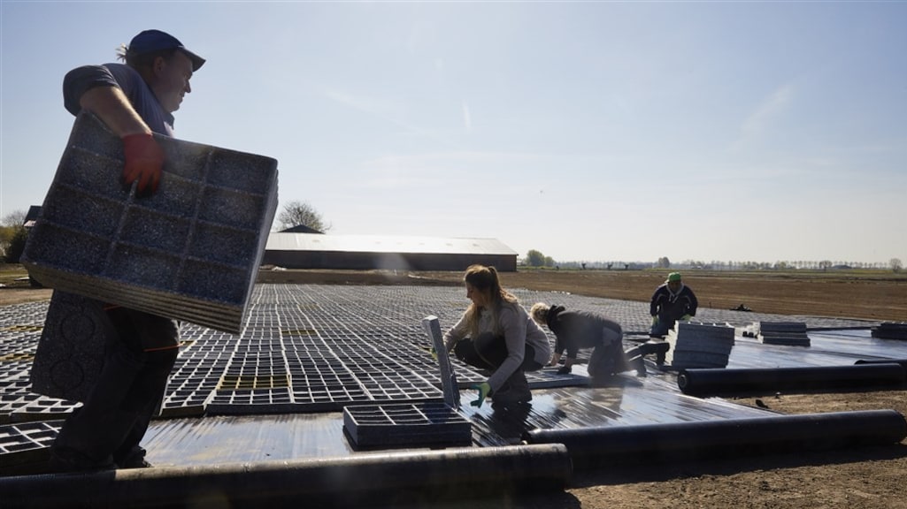 Nederland in trek bij arbeidsmigranten, vooral uit Europa