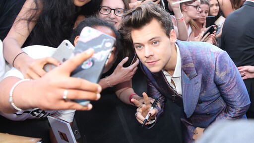Is dit het geheime TikTok-account van Harry Styles?