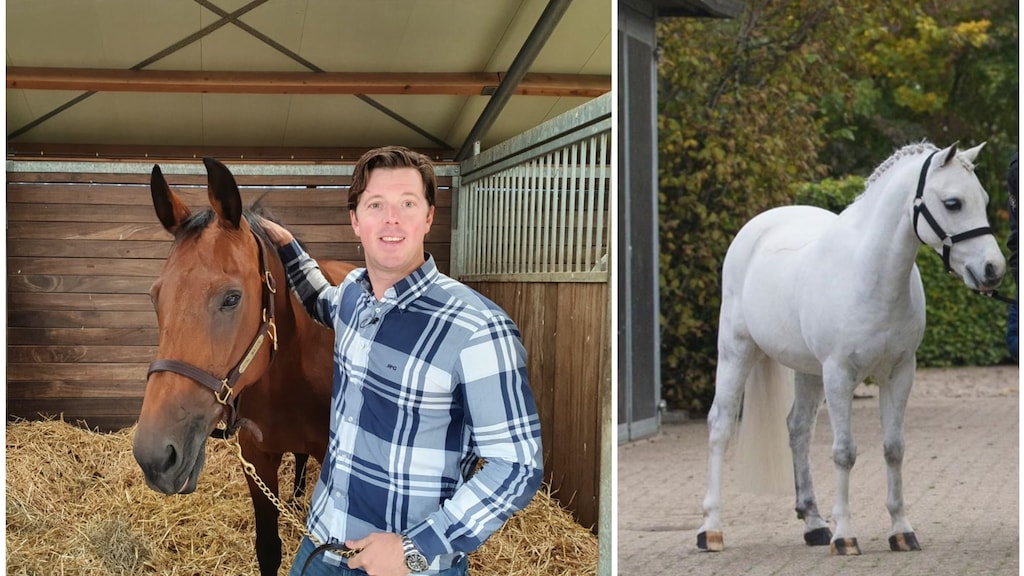 Pony 'Frozen' van dochter Kylie Jenner komt uit de stal van Roy