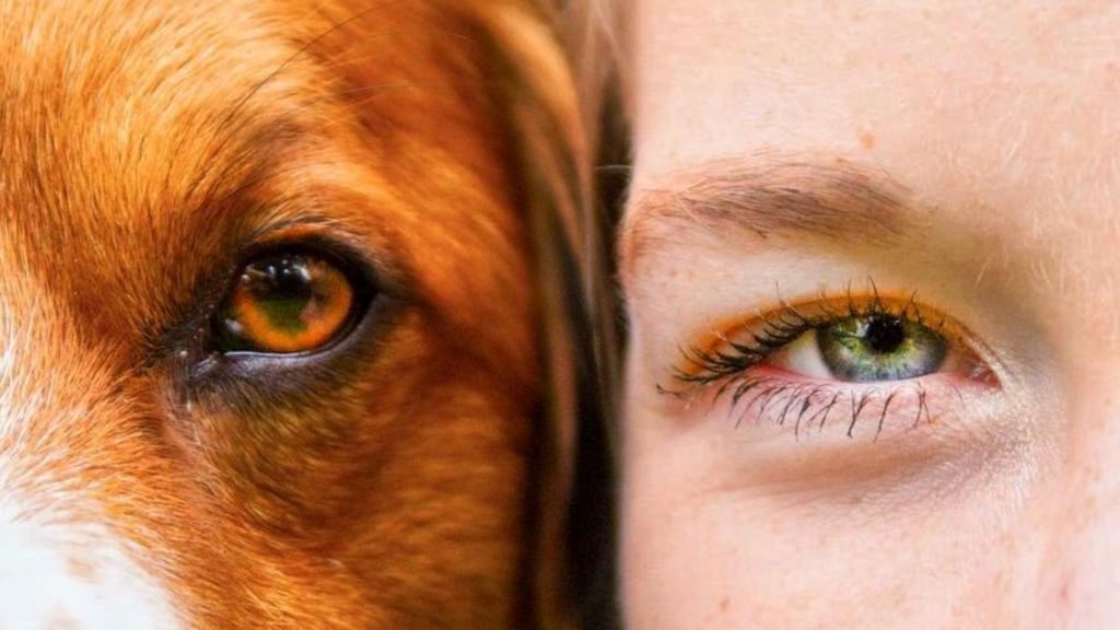 Mellow en Gabi. (Foto: Joys van den Ende)