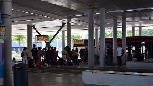 Zieke bij luchtverkeersleiding: 1400 gestrande reizigers op Eindhoven Airport