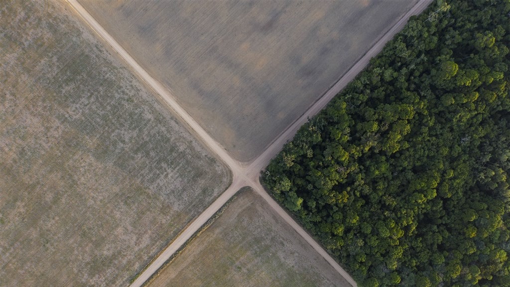 Hier staan niet langer bomen, maar liggen sojavelden