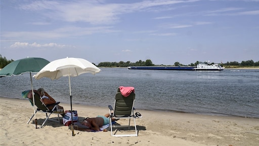 1600 euro beloning voor volgen studie 'nietsdoen'