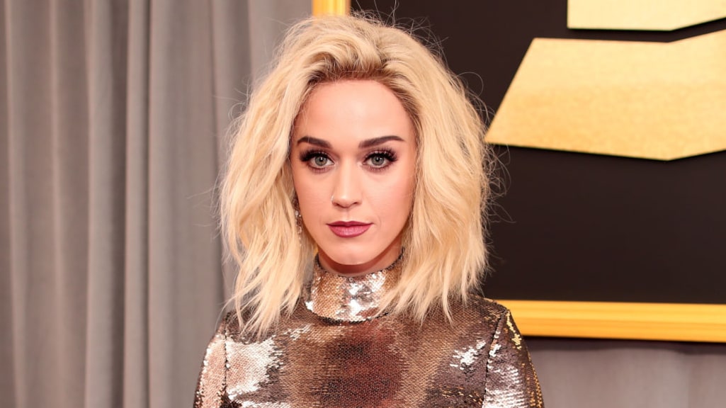 Katy Perry zorgt voor opschudding door hond vegan op te voeden