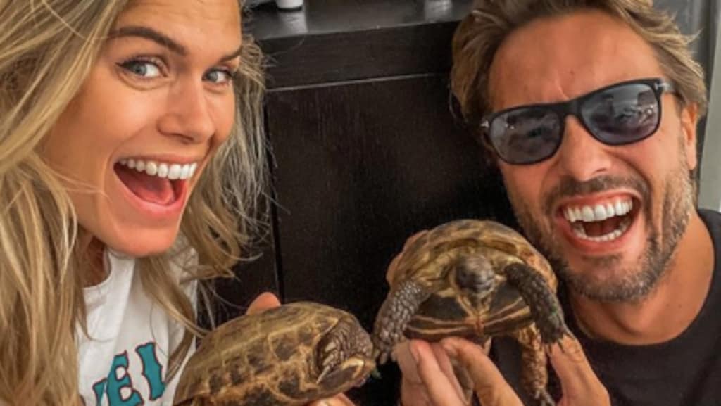 Schildpadden Bas en Nicolette zijn ware broedmachines